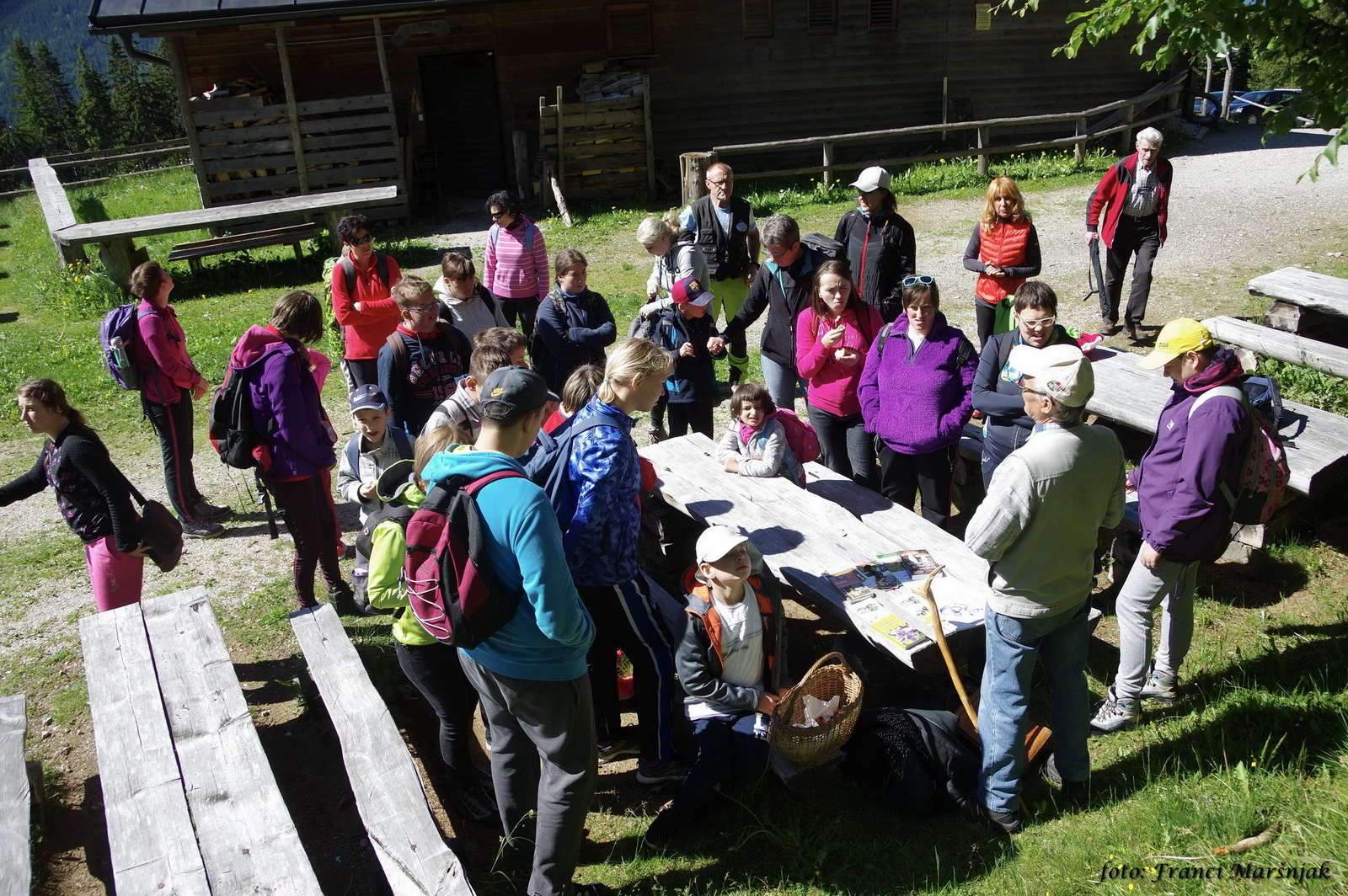 smrekovec_03_foto_Franc_Marsnjak_CVIU_Velenje