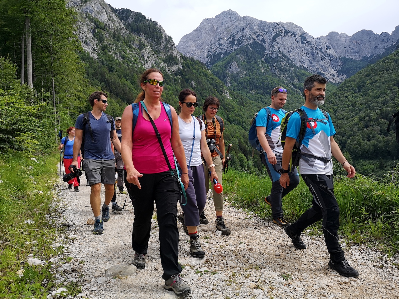 Organizirane in strokovno vodene ture, ki predstavljajo učni proces v naravi, so naložba za varnejše obiskovanje gorskega sveta in povabilo ljubiteljem gora v planinsko društvo (foto Manca Ogrin)