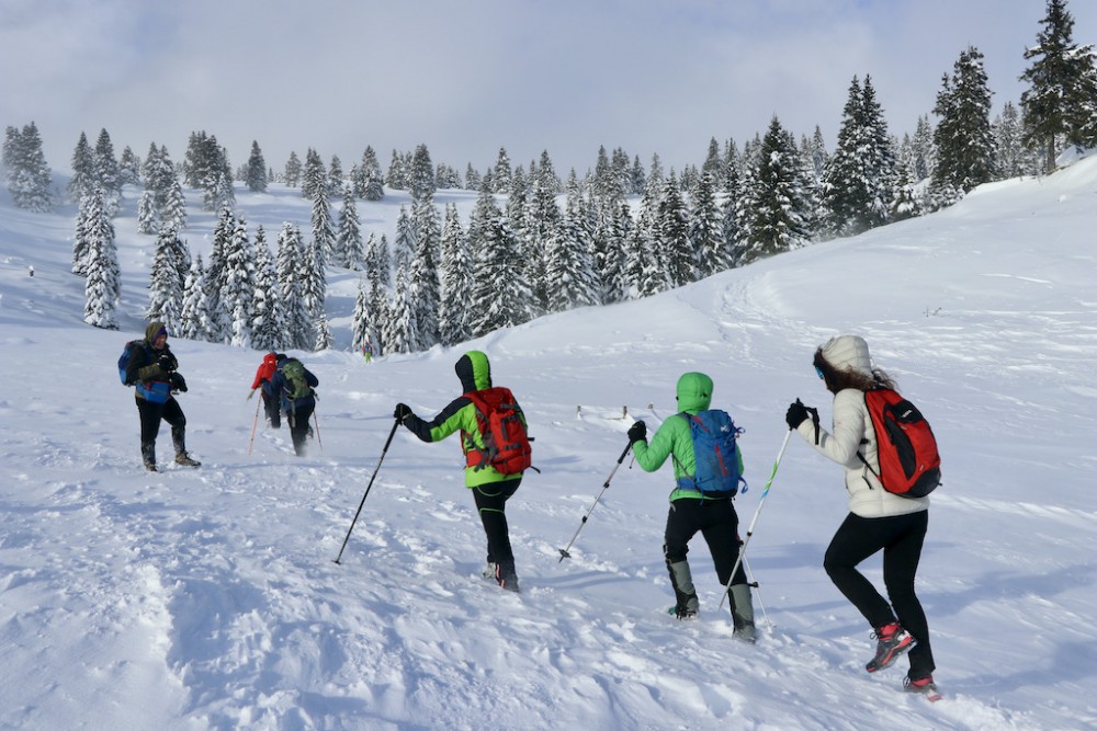 velika_planina_nk_pzs_planinci_foto_manca_ogrin