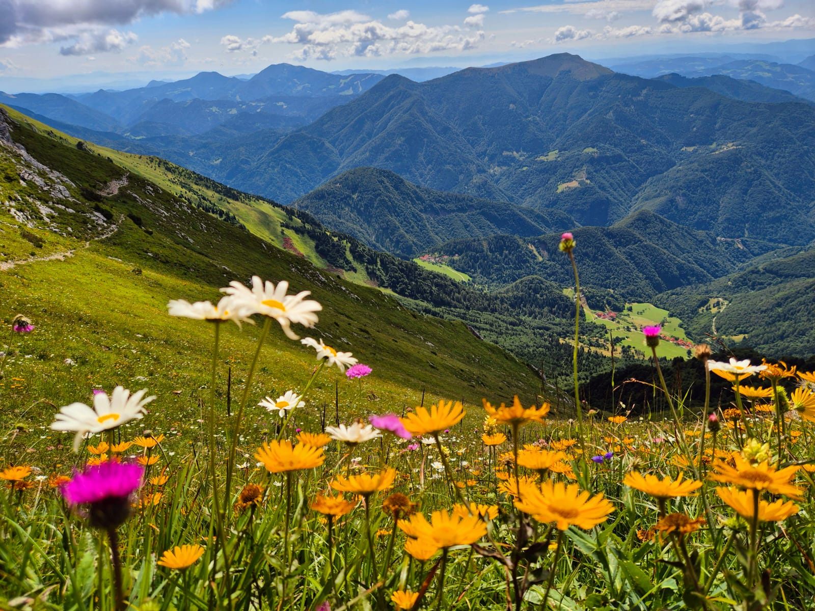 3_Pogled_na_vas_Strzisce__foto_Majda_Rojc 3_Pogled_na_vas_Strzisce__foto_Majda_Rojc