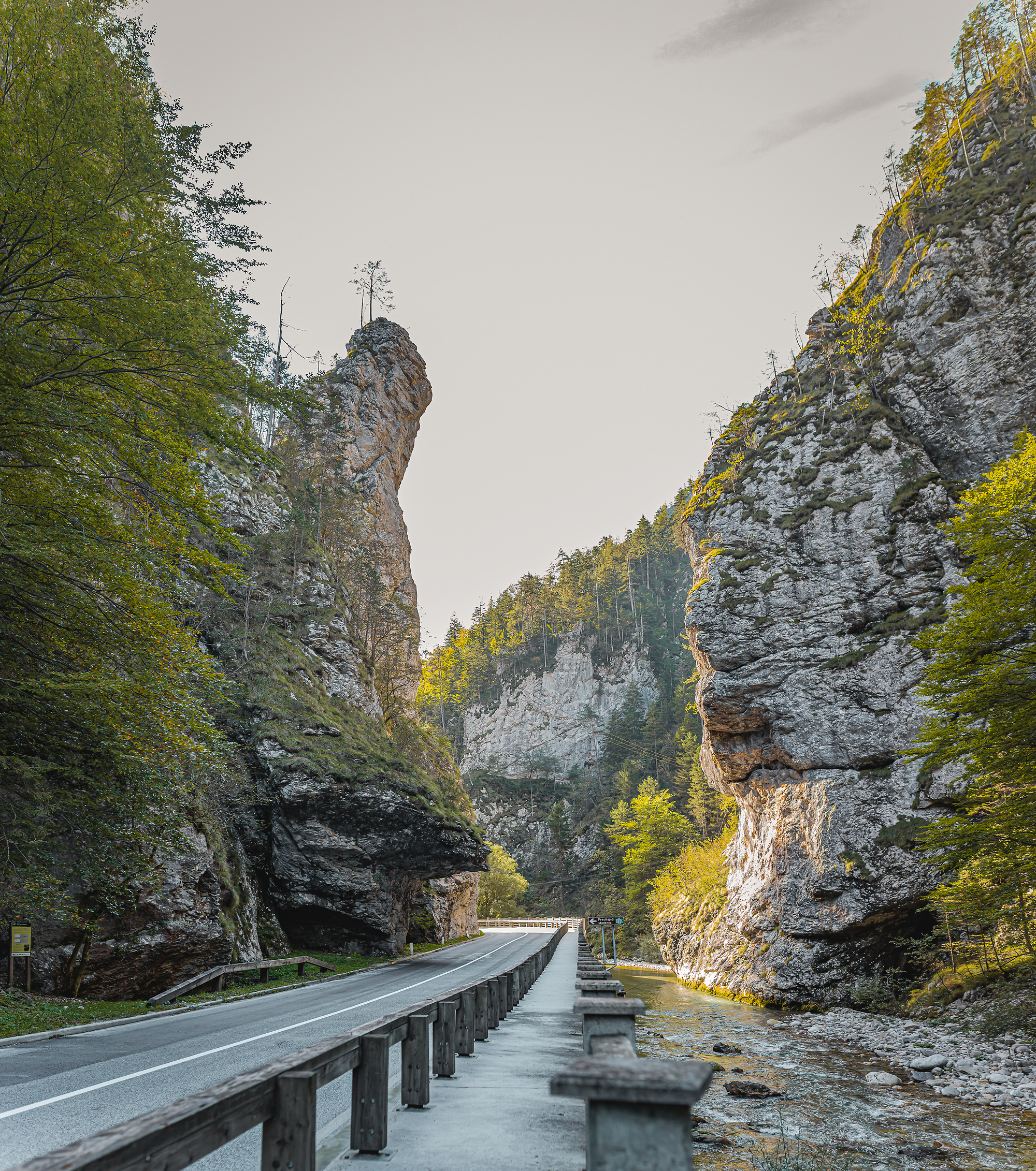 F014532_07_zgornja_savinjska_dolina_igla_brv_cez_savinjo_1_photo_m__1_