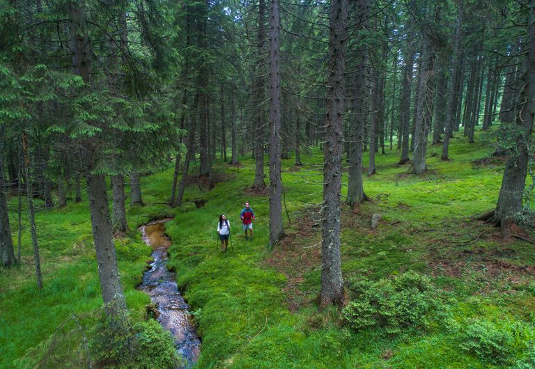 Pohorje_gozdovi_jost_gantar_photo2