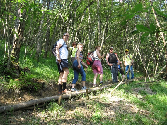 opd_koper_pomja_po_poti_vinka_lovrecica_2016_fotoneli_trbovc