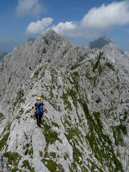 brezpotni_grebeni_pelcev_foto_matej_ogorevc_m