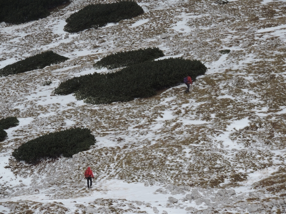 dleskovska_planota_foto_matej_ogorevc__1_