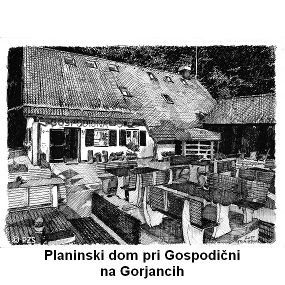 gospodicna_570x570