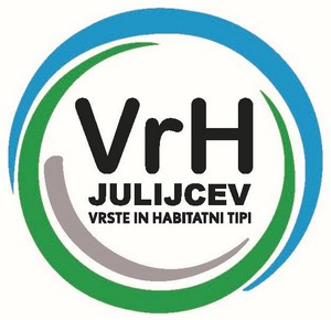 vrh_julijcev