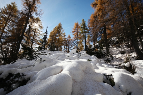 mk_pzs_s_studenti_v_hribe_dleskovska_planota_foto_ana_skobe_2