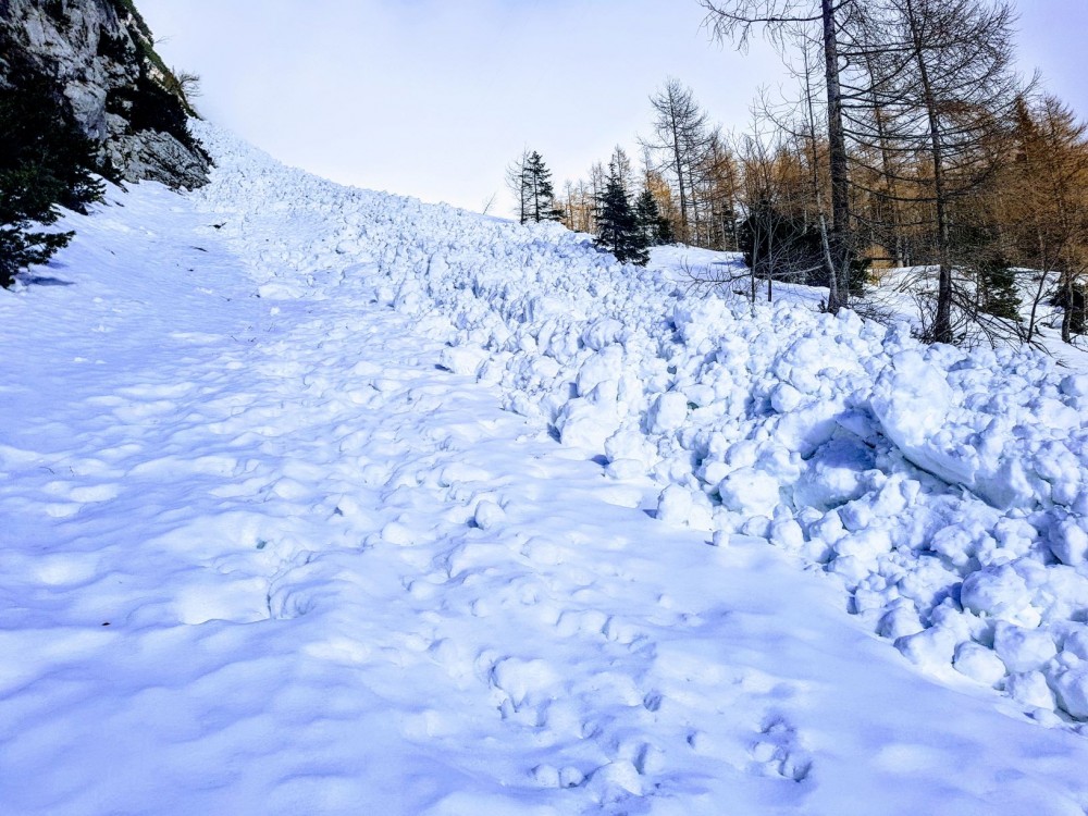 Foto: Matjaž Šerkezi Foto: Matjaž Šerkezi