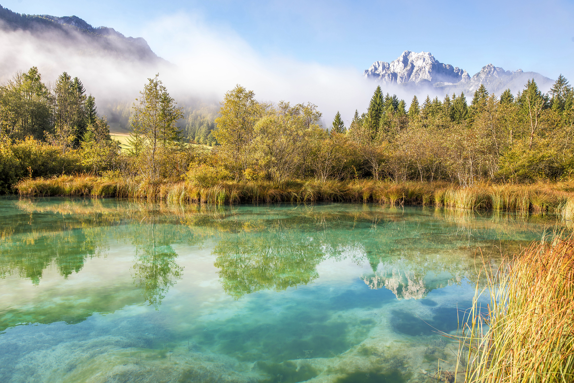 F014438_03_kranjska_gora_zelenci_3_photo_m